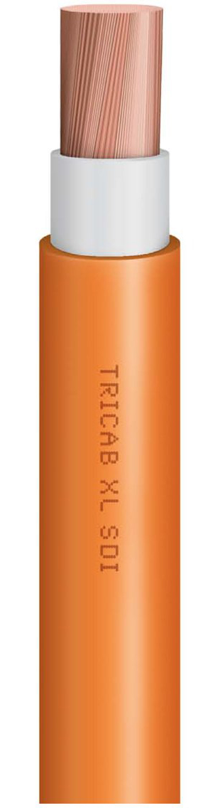 XL