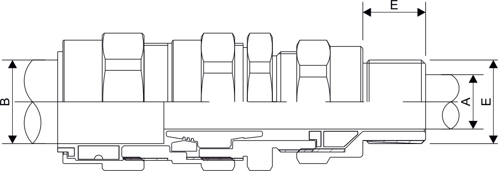 D29 Dimensions